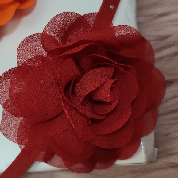 New Listing!! Brand New FLORAL ATTACHMENT FASHION PET COLLAR-2 CT. - Picture 5 of 5